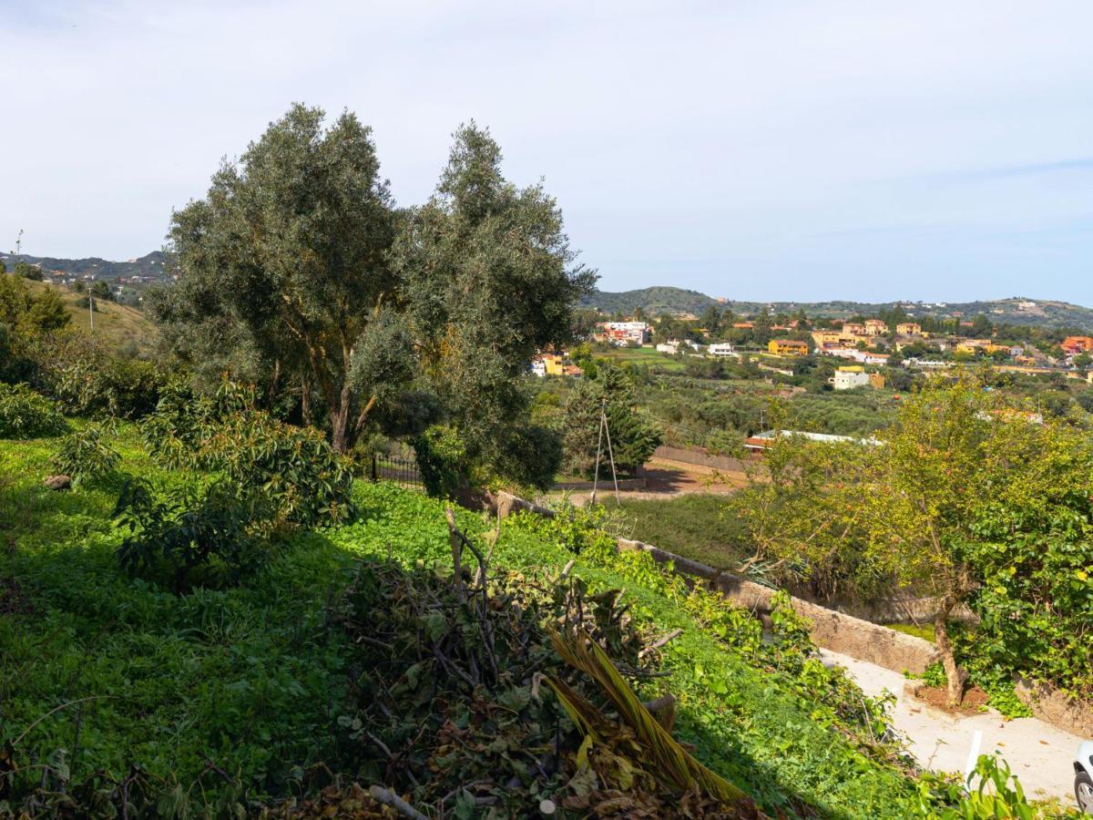 Live Finca El Gamonal Bajo Con Piscina Y Jardin En La Naturaleza Santa Brigida  Exterior photo