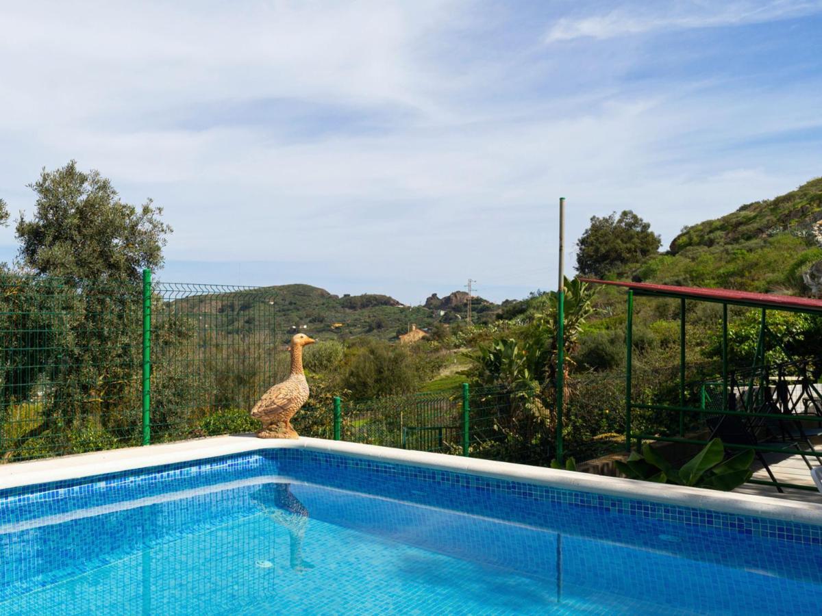 Live Finca El Gamonal Bajo Con Piscina Y Jardin En La Naturaleza Santa Brigida  Exterior photo