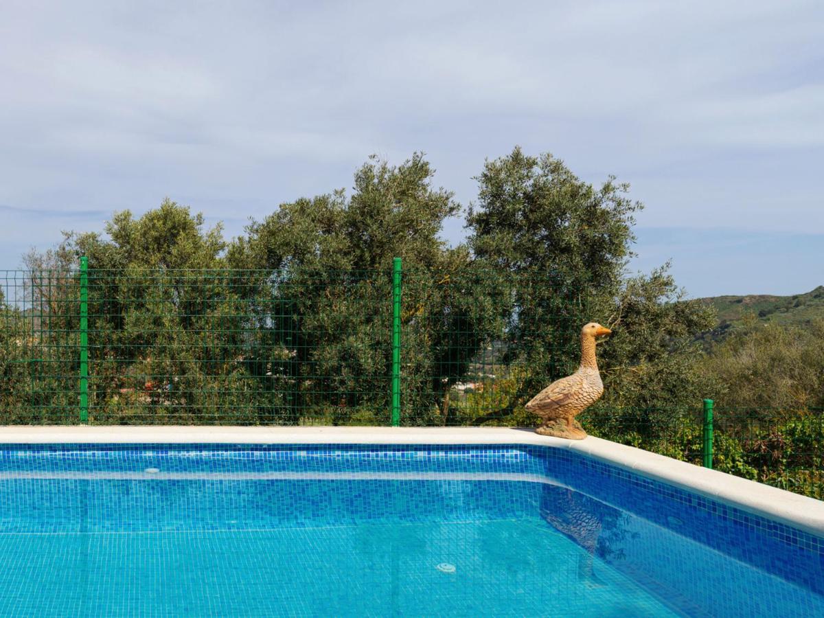 Live Finca El Gamonal Bajo Con Piscina Y Jardin En La Naturaleza Santa Brigida  Exterior photo