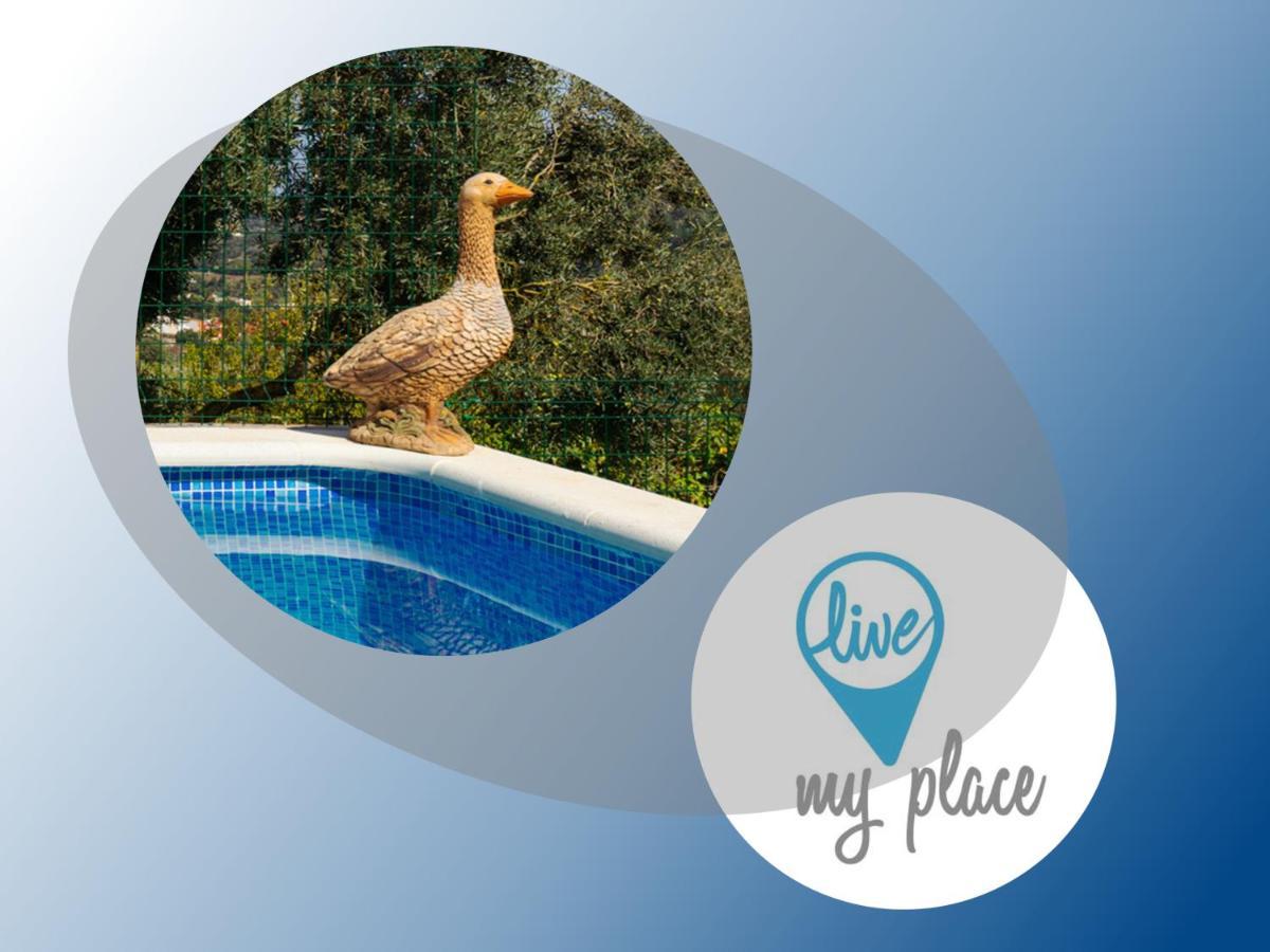 Live Finca El Gamonal Bajo Con Piscina Y Jardin En La Naturaleza Santa Brigida  Exterior photo